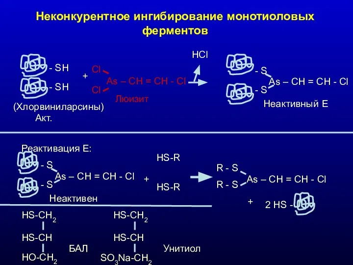 Неконкурентное ингибирование монотиоловых ферментов - SH - SH Акт. + Cl