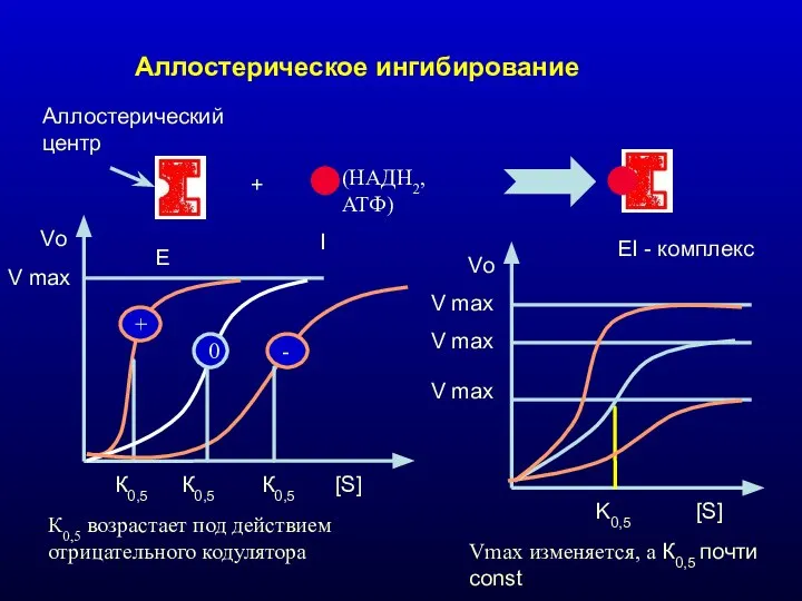 Аллостерическое ингибирование Е I EI - комплекс + Аллостерический центр (НАДН2,