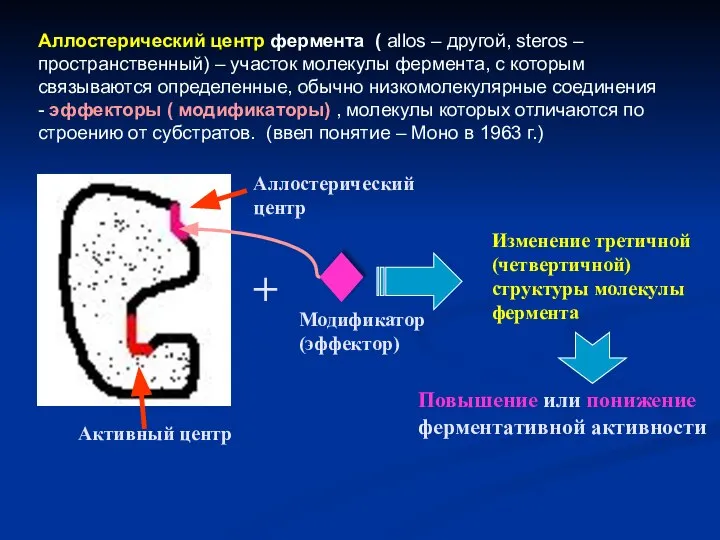 Аллостерический центр фермента ( allos – другой, steros – пространственный) –