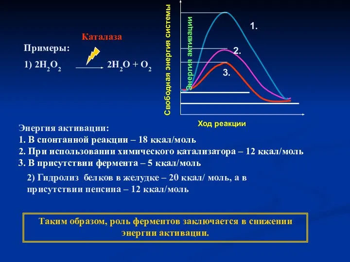 Примеры: 1) 2Н2О2 2Н2О + О2 Каталаза Энергия активации: 1. В