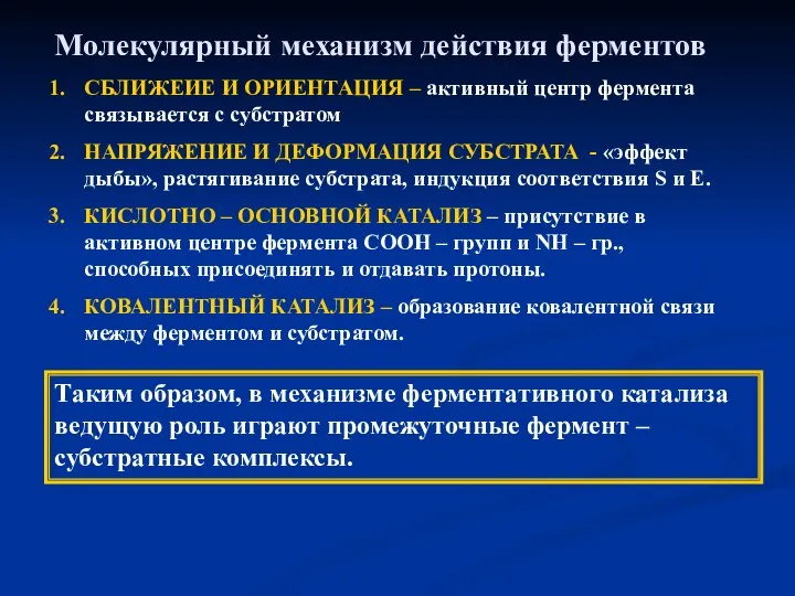 Молекулярный механизм действия ферментов СБЛИЖЕИЕ И ОРИЕНТАЦИЯ – активный центр фермента