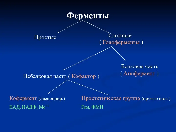 Ферменты Простые Сложные ( Голоферменты ) Белковая часть ( Апофермент )