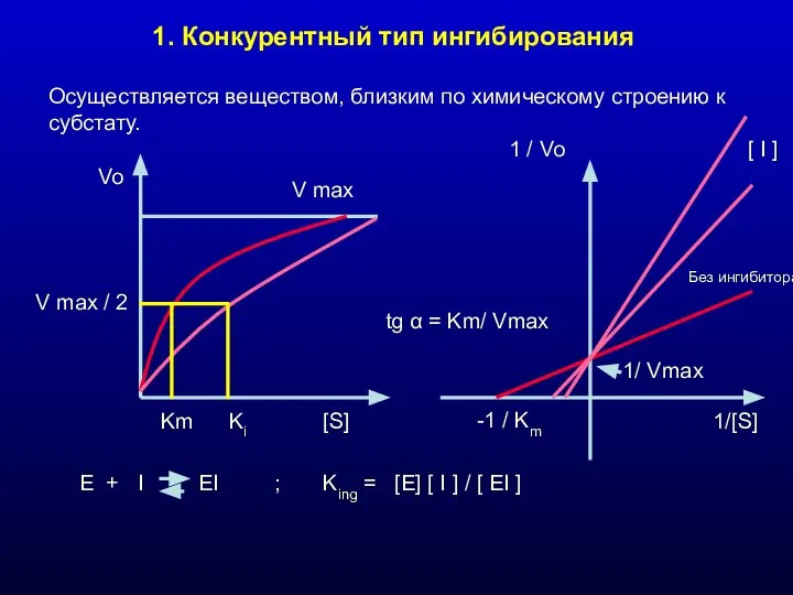 1. Конкурентный тип ингибирования Осуществляется веществом, близким по химическому строению к