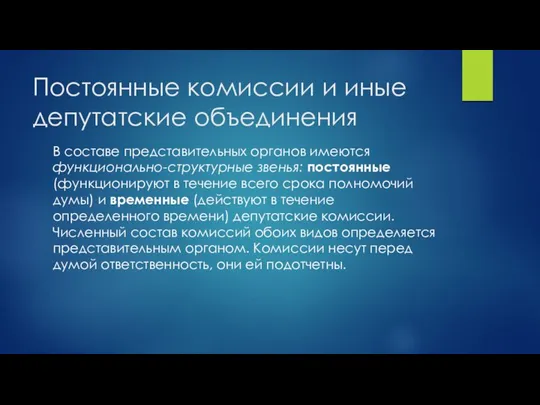 Постоянные комиссии и иные депутатские объединения В составе представительных органов имеются