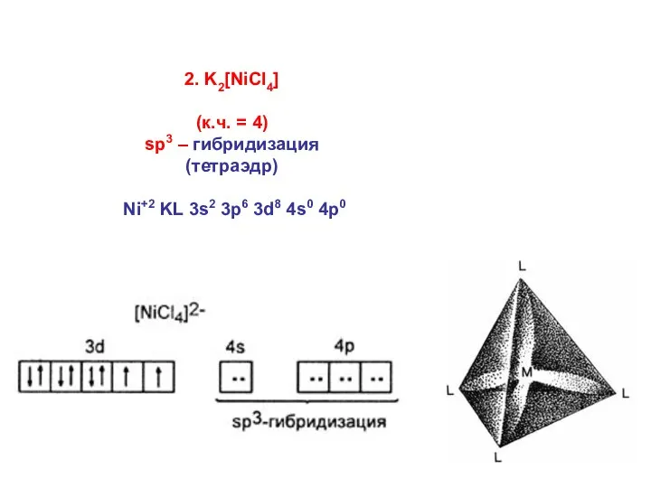 2. K2[NiCl4] (к.ч. = 4) sp3 – гибридизация (тетраэдр) Ni+2 KL 3s2 3p6 3d8 4s0 4p0