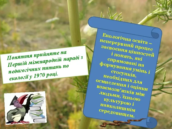 Поняття прийняте на Першій міжнародній нараді з педагогічних питань по екології у 1970 році. Екологічна освіта: