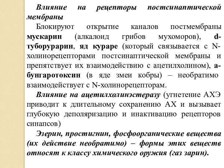 Влияние на рецепторы постсинаптической мембраны Блокируют открытие каналов постмембраны мускарин (алкалоид