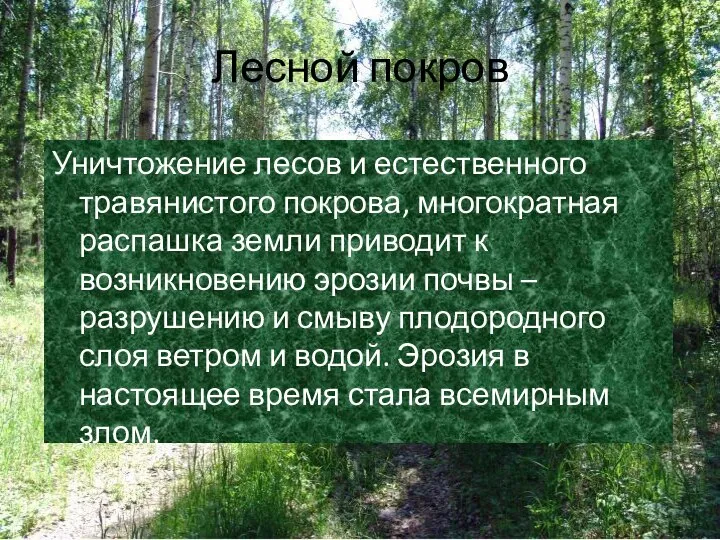 Лесной покров Уничтожение лесов и естественного травянистого покрова, многократная распашка земли