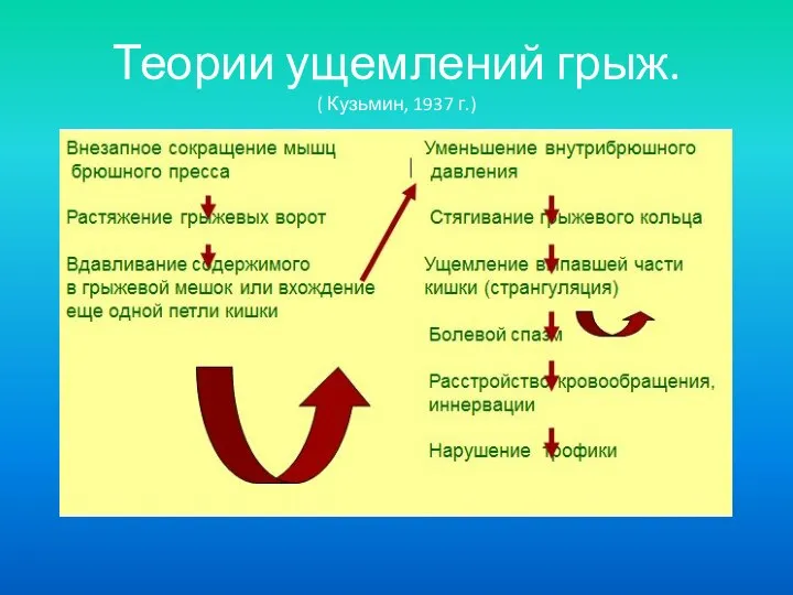 Теории ущемлений грыж. ( Кузьмин, 1937 г.)