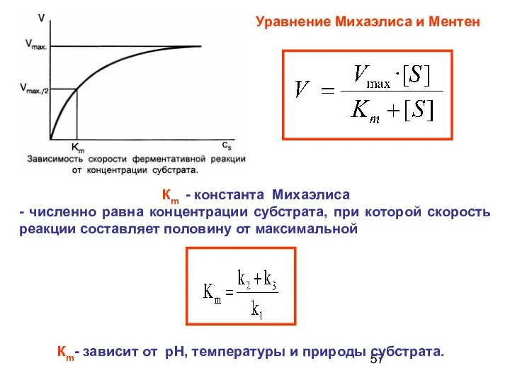 Кm - константа Михаэлиса - численно равна концентрации субстрата, при которой