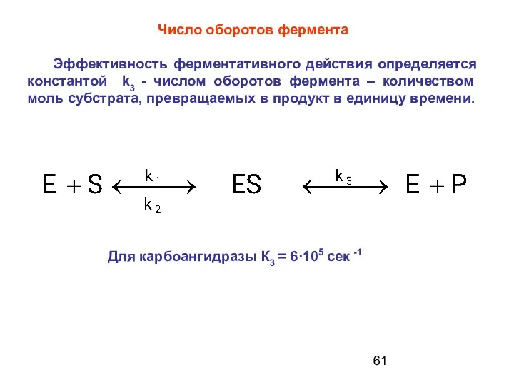 Для карбоангидразы К3 = 6·105 сек -1 Число оборотов фермента Эффективность
