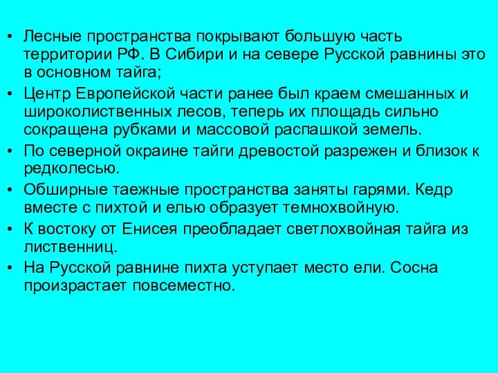 Лесные пространства покрывают большую часть территории РФ. В Сибири и на