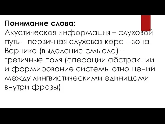 Понимание слова: Акустическая информация – слуховой путь – первичная слуховая кора