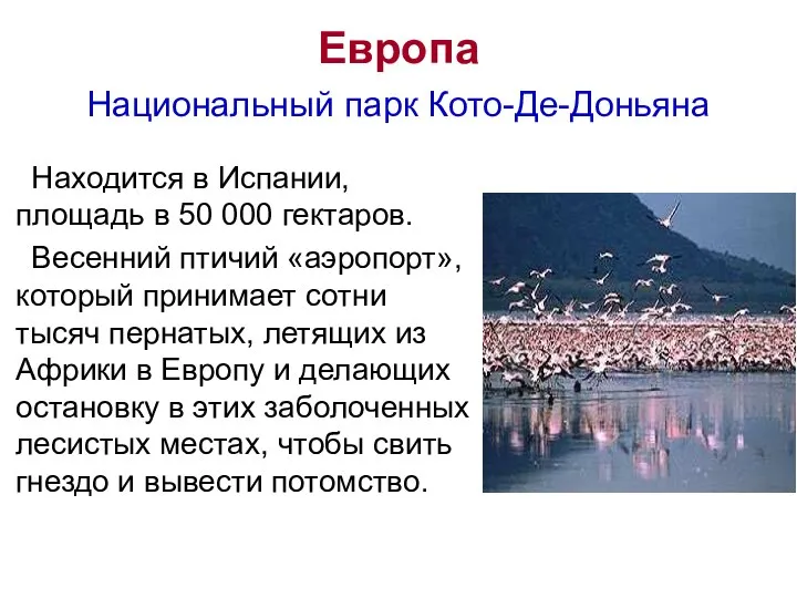 Европа Национальный парк Кото-Де-Доньяна Находится в Испании, площадь в 50 000