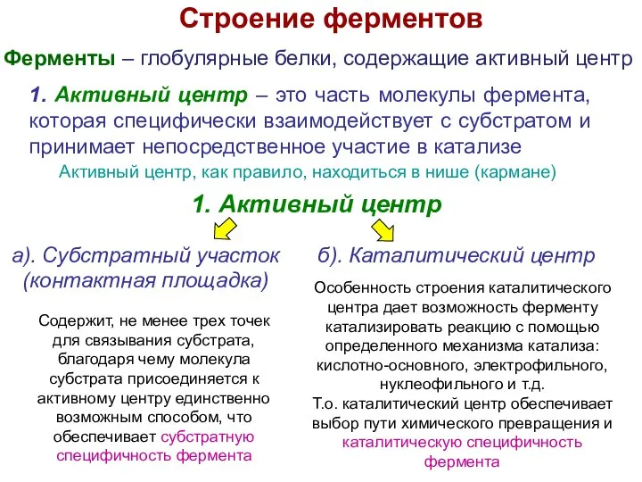 1. Активный центр – это часть молекулы фермента, которая специфически взаимодействует