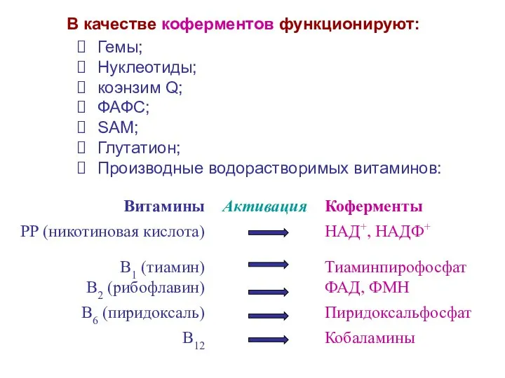 В качестве коферментов функционируют: Гемы; Нуклеотиды; коэнзим Q; ФАФС; SAM; Глутатион; Производные водорастворимых витаминов: