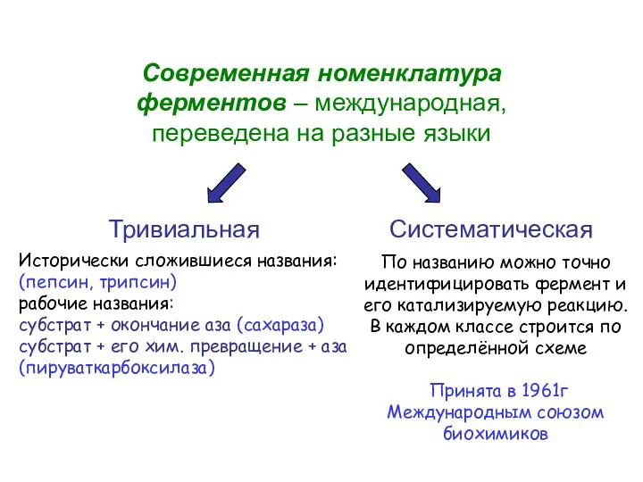 Современная номенклатура ферментов – международная, переведена на разные языки Исторически сложившиеся