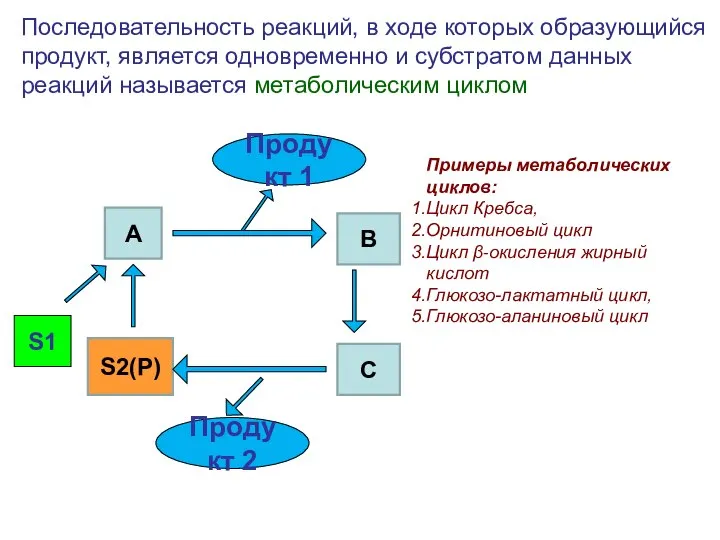 S1 Последовательность реакций, в ходе которых образующийся продукт, является одновременно и