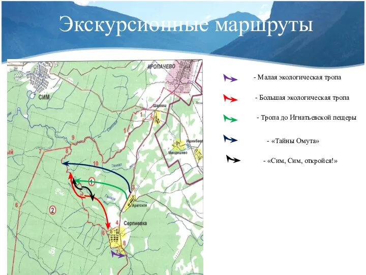 Экскурсионные маршруты - Малая экологическая тропа - Большая экологическая тропа -