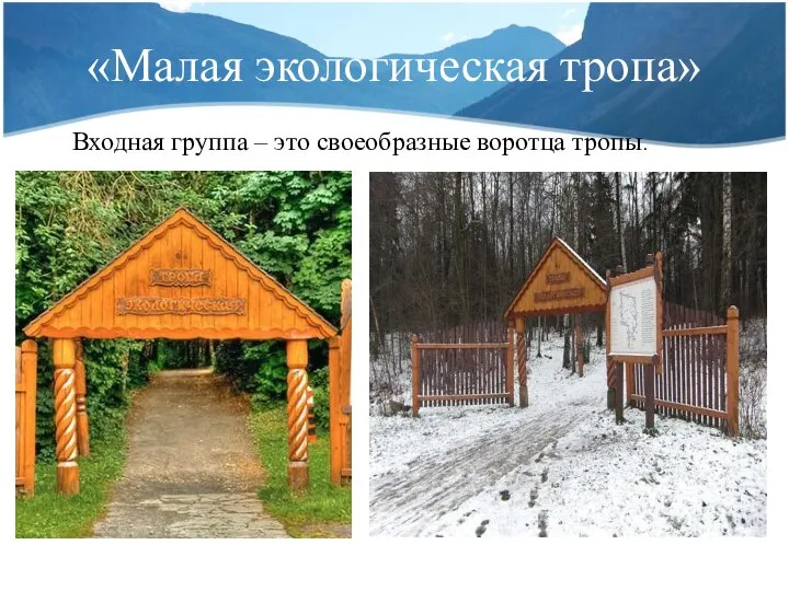 «Малая экологическая тропа» Входная группа – это своеобразные воротца тропы.