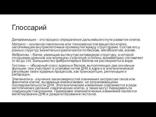 Глоссарий Детерминация – это процесс определения дальнейшего пути развития клеток. Матрикс