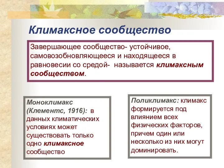 Климаксное сообщество Завершающее сообщество- устойчивое, самовозобновляющееся и находящееся в равновесии со