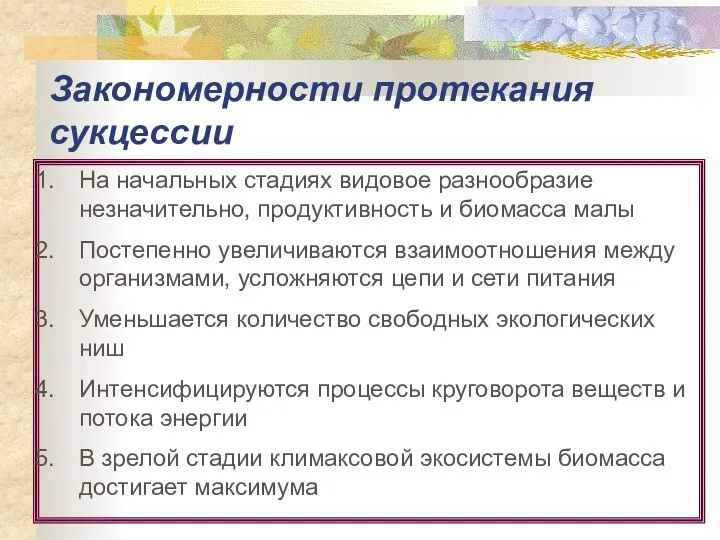 Закономерности протекания сукцессии На начальных стадиях видовое разнообразие незначительно, продуктивность и