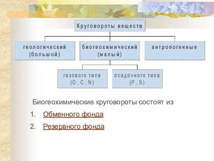 Биогеохимические круговороты состоят из Обменного фонда Резервного фонда