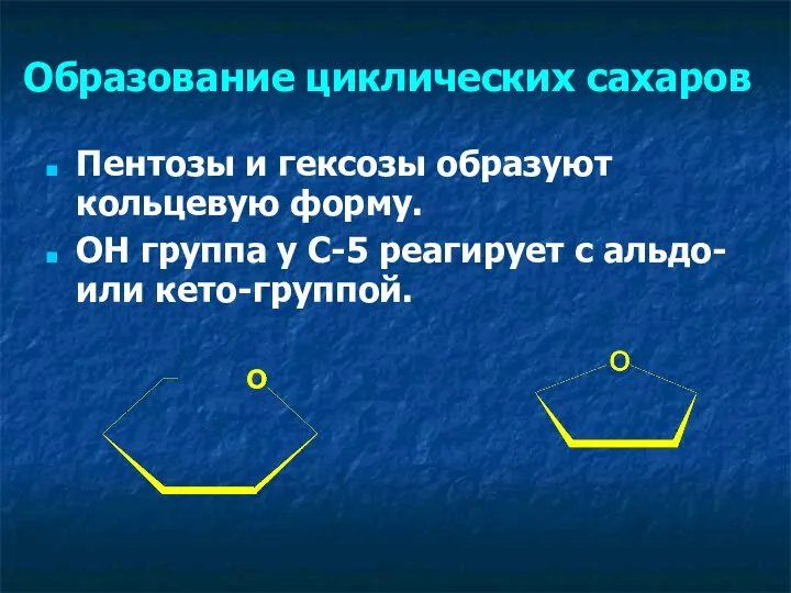 Образование циклических сахаров Пентозы и гексозы образуют кольцевую форму. ОН группа