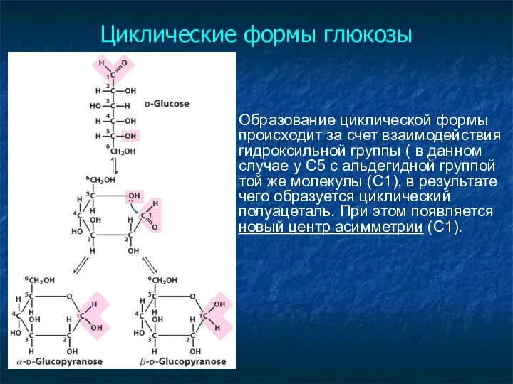 Циклические формы глюкозы Образование циклической формы происходит за счет взаимодействия гидроксильной