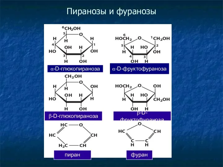 Пиранозы и фуранозы α-D-глюкопираноза пиран фуран β-D-глюкопираноза β-D-фруктофураноза α-D-фруктофураноза