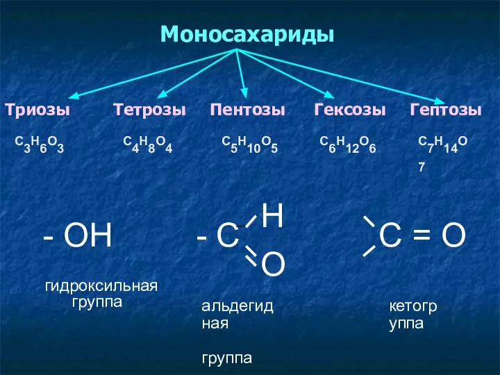 Моносахариды Триозы Тетрозы Пентозы Гексозы Гептозы C3H6O3 C4H8O4 C5H10O5 C6H12O6 C7H14O7
