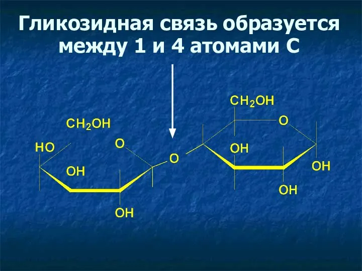 Гликозидная связь образуется между 1 и 4 атомами С