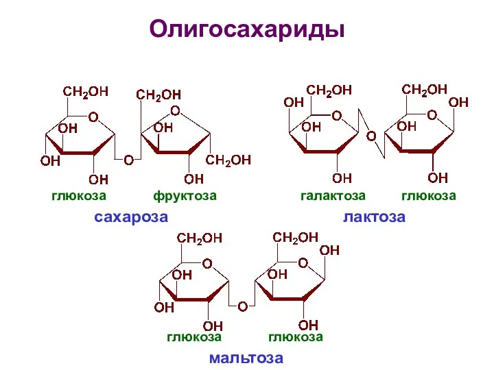 Олигосахариды глюкоза фруктоза сахароза галактоза глюкоза лактоза глюкоза глюкоза мальтоза