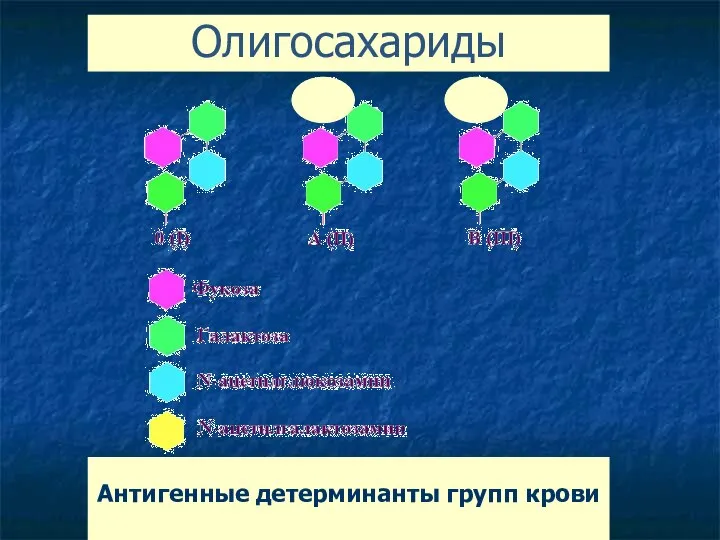 Олигосахариды Антигенные детерминанты групп крови