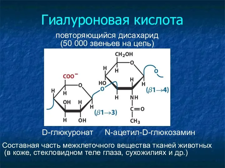 Гиалуроновая кислота повторяющийся дисахарид (50 000 звеньев на цепь)‏ D-глюкуронат N-ацетил-D-глюкозамин