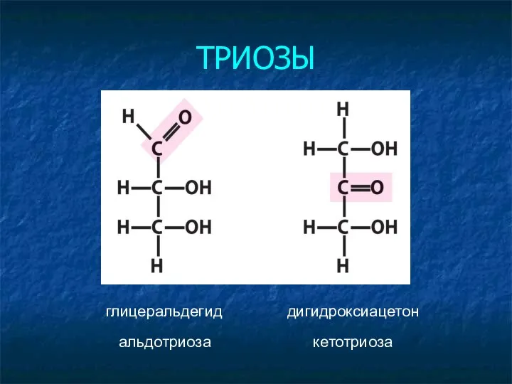 ТРИОЗЫ глицеральдегид альдотриоза дигидроксиацетон кетотриоза