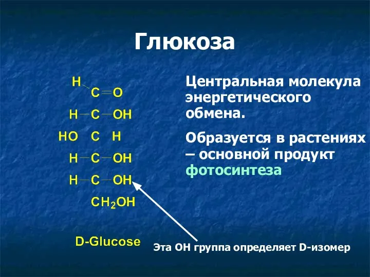 Глюкоза Центральная молекула энергетического обмена. Образуется в растениях – основной продукт