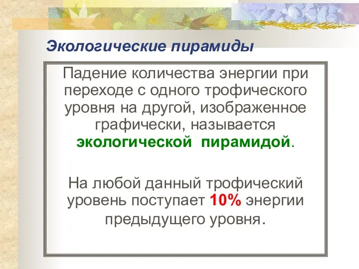 Экологические пирамиды Падение количества энергии при переходе с одного трофического уровня