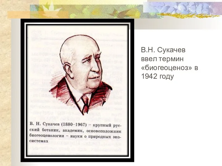 В.Н. Сукачев ввел термин «биогеоценоз» в 1942 году