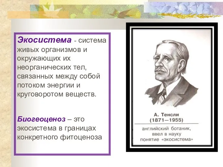 Экосистема - система живых организмов и окружающих их неорганических тел, связанных