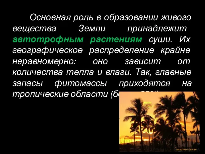 Основная роль в образовании живого вещества Земли принадлежит автотрофным растениям суши.