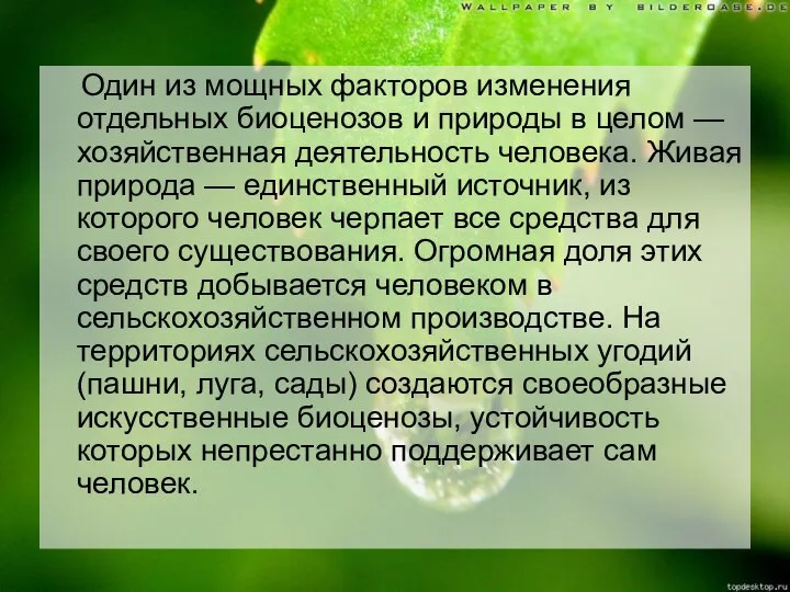 Один из мощных факторов изменения отдельных биоценозов и природы в целом