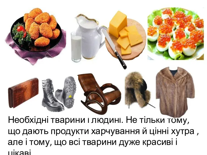 Необхідні тварини і людині. Не тільки тому, що дають продукти харчування