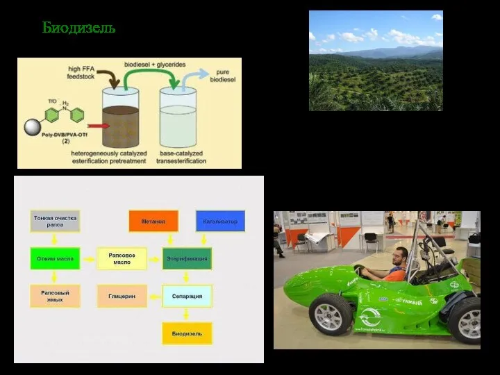 Биодизель Пальмовый дизель столь же грязный, как и топливо из нефтеносных