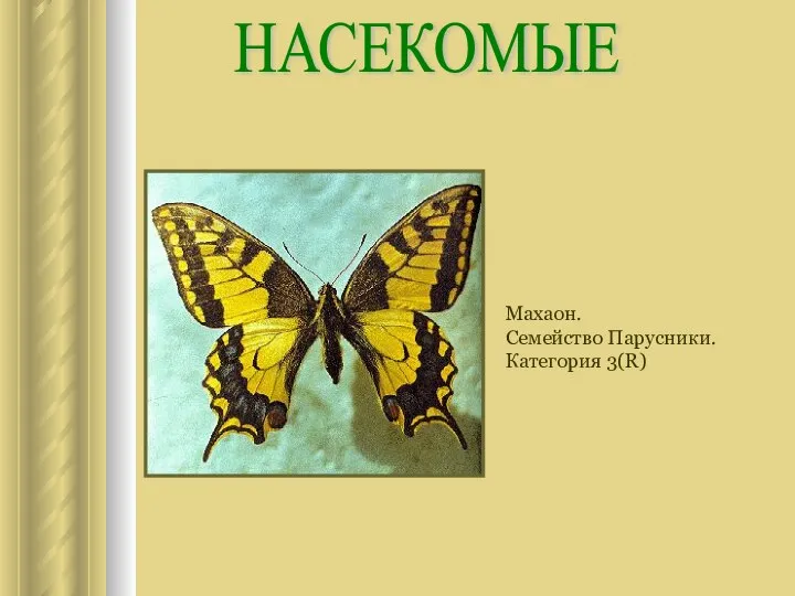 НАСЕКОМЫЕ Махаон. Семейство Парусники. Категория 3(R)