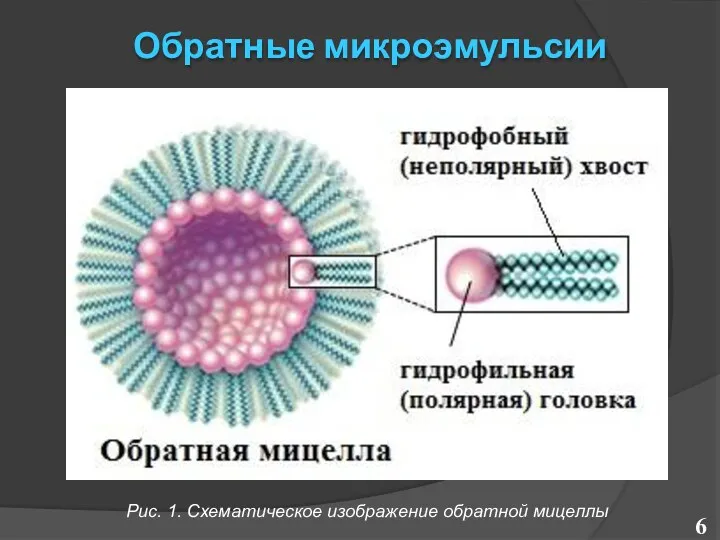 Обратные микроэмульсии Рис. 1. Схематическое изображение обратной мицеллы