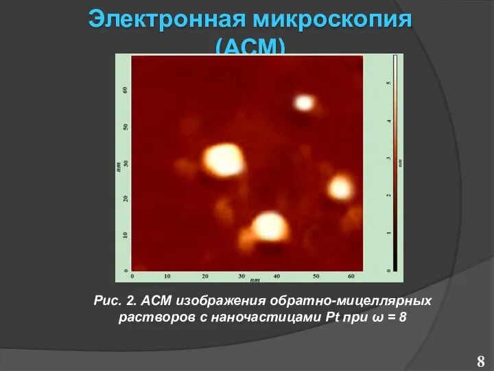 Электронная микроскопия (АСМ) Рис. 2. АСМ изображения обратно-мицеллярных растворов с наночастицами Pt при ω = 8