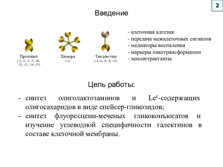 Введение 2 - клеточная адгезия - передача межклеточных сигналов - медиаторы