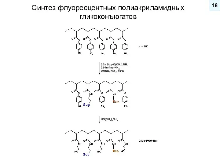 16 0.2n Sug-O(CH2)2NH2 0.01n fluo-NH2 DMSO, NEt3, 40°C HO(CH2)2NH2 Синтез флуоресцентных полиакриламидных гликоконъюгатов
